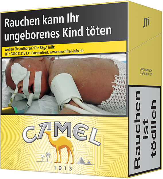 Camel Yellow BP 6XL
